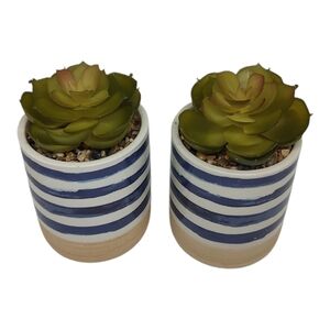 Set of 2 Faux Succulents In Ceramic Pots Rustic Coastal Boho Small Artificial